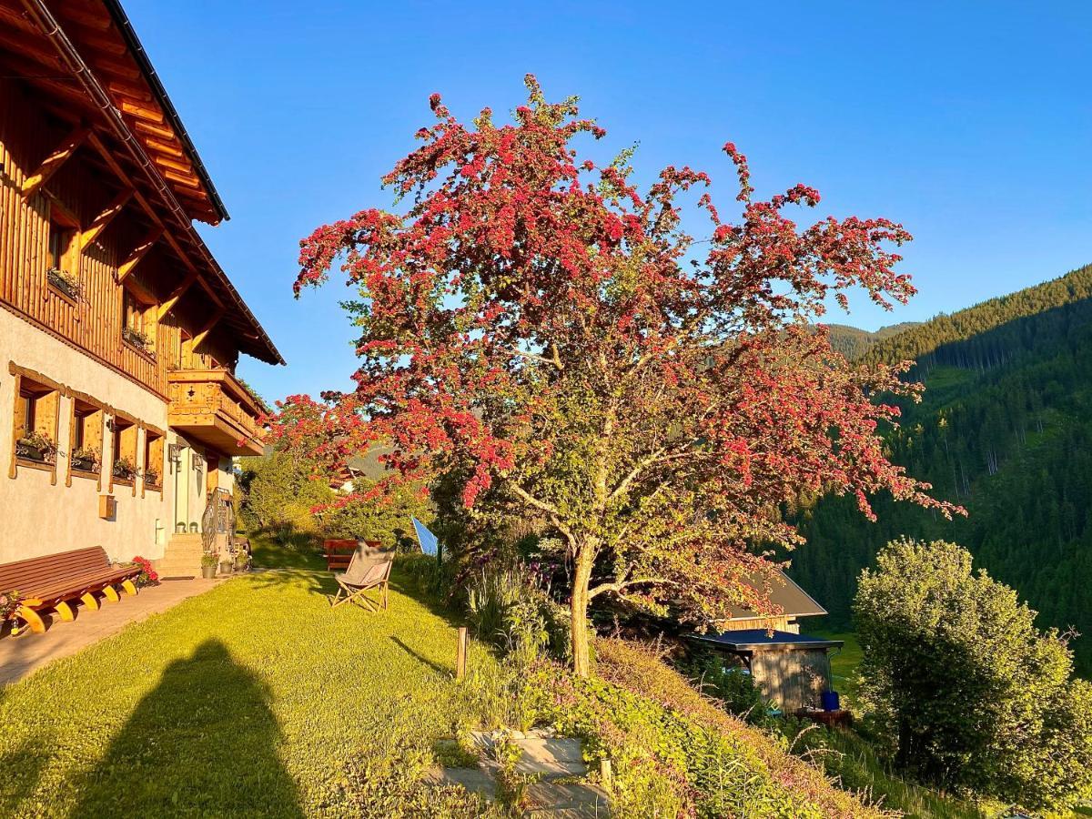 Alm Seasons Premium Chalet & Studios Saalbach-Hinterglemm Exterior foto