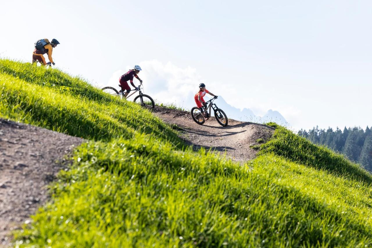 Alm Seasons Premium Chalet & Studios Saalbach-Hinterglemm Exterior foto